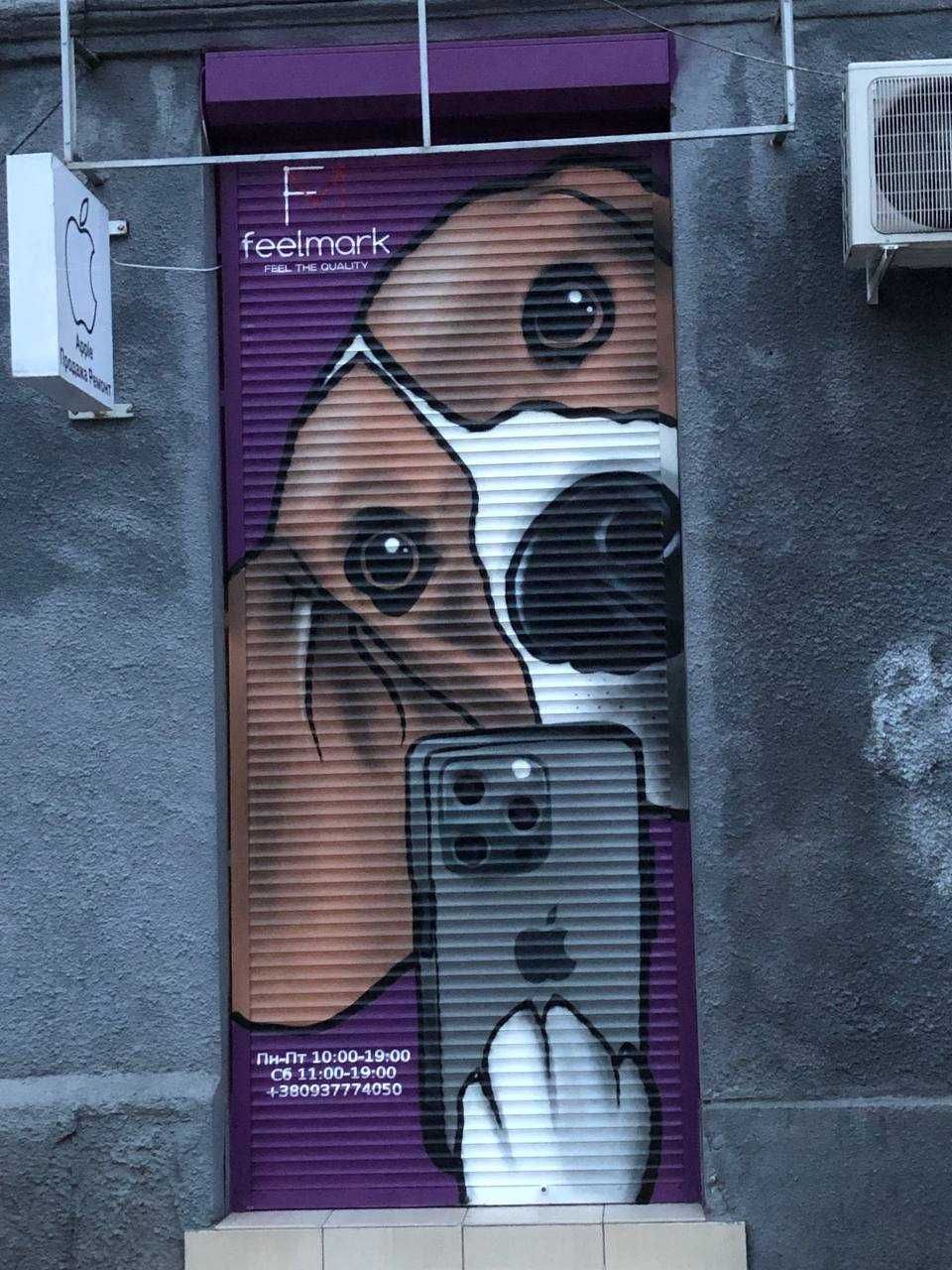 Graffiti - decor \ Pictură murală \ Street art \ Brasov Romania