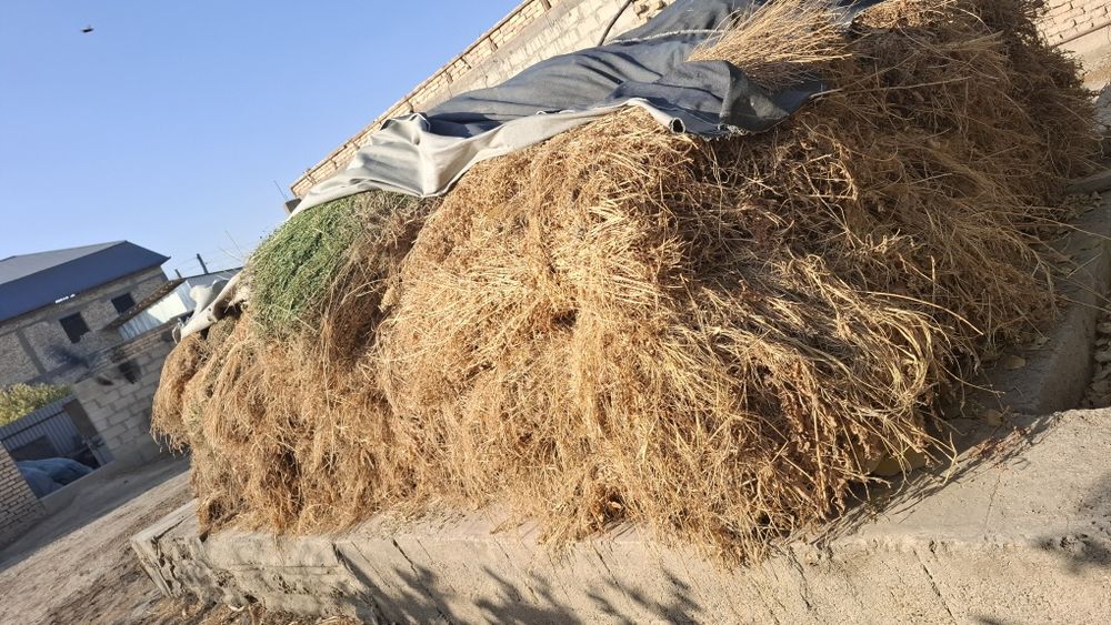 Беда ва утлар сотилади