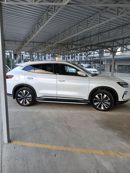 Byd chempion elektr 605