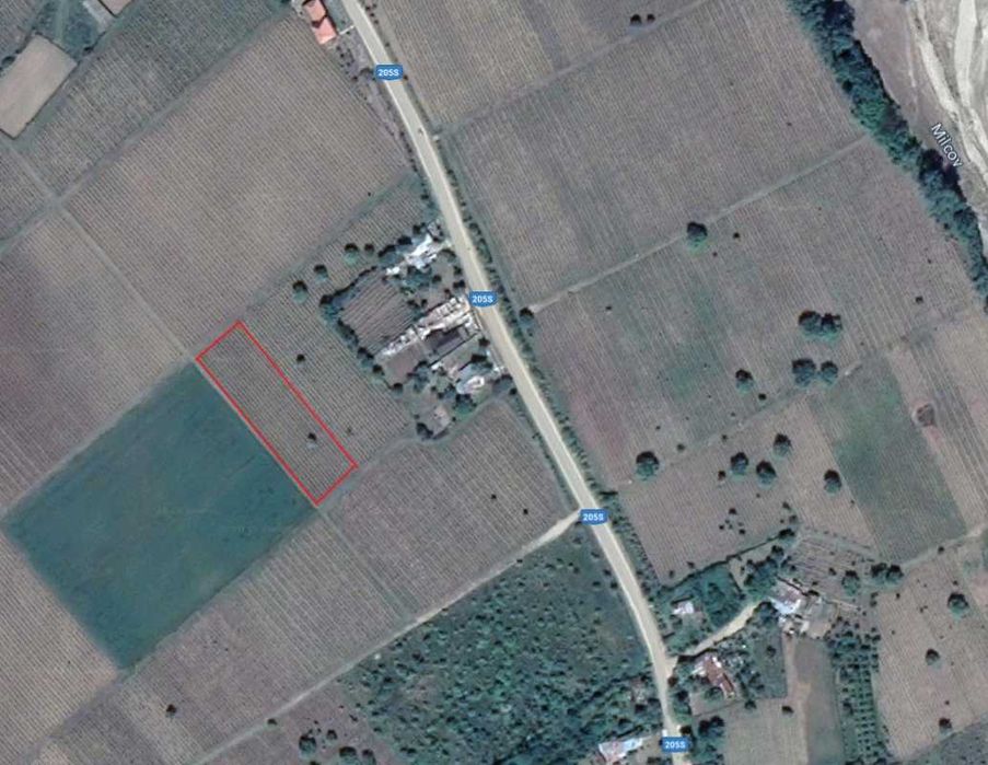 De vanzare Vie 3000Mp Vartescoiu Vrancea