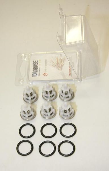 KIT Interpump supape albe , pompa presiune Spalatorie auto reparatie