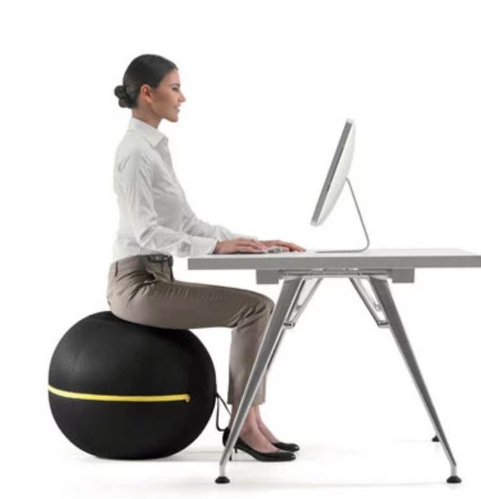 Топка (Wellness ball) Technogym