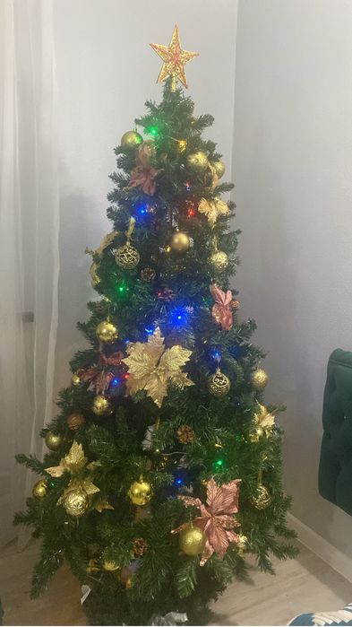 Елка классическая