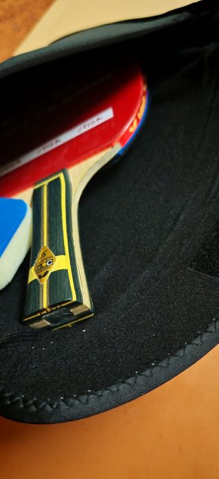 Paleta tenis de masa ZJK