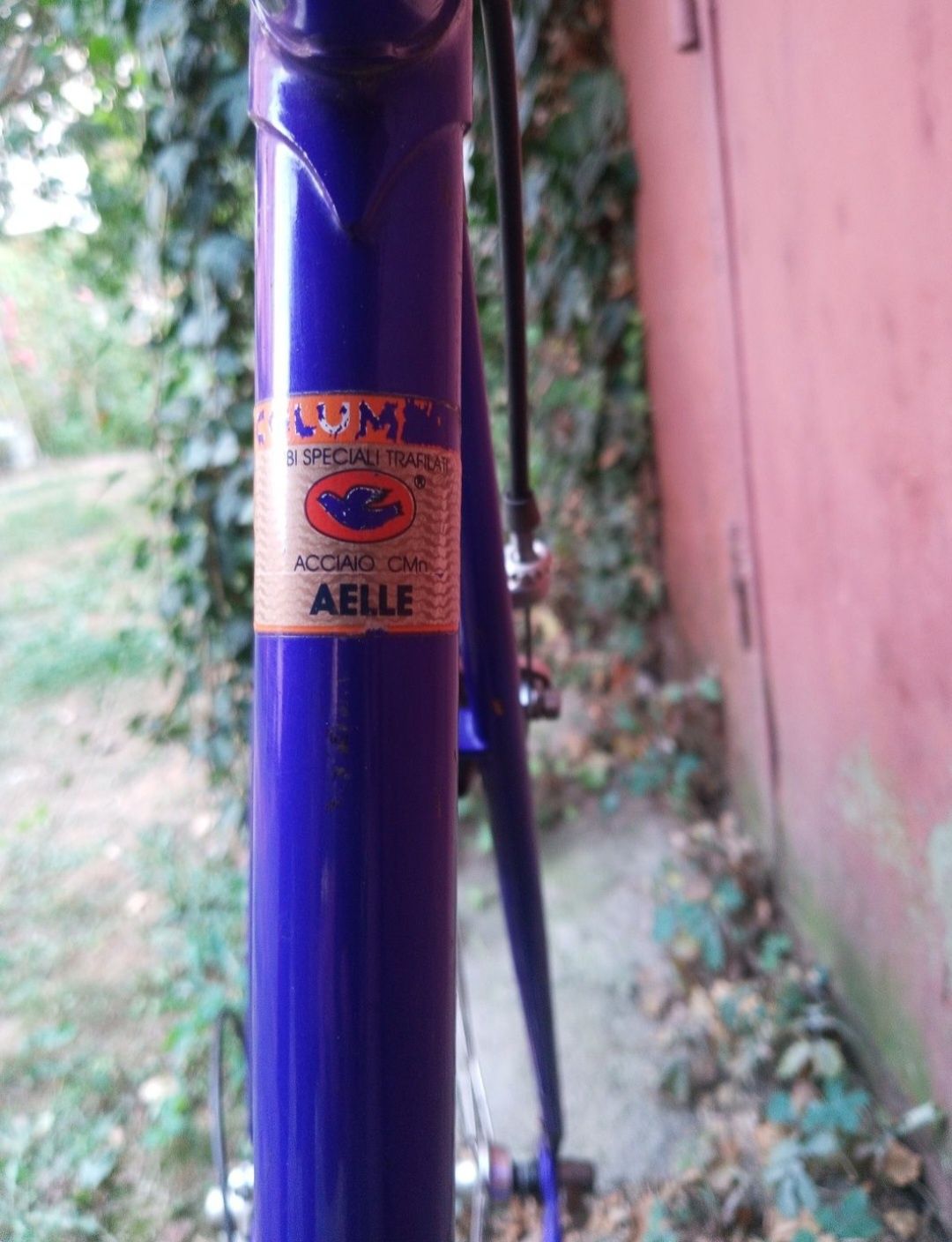 Bicicleta cursiera Olagnero/Campagnolo