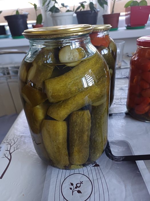 Маринованные огурцы