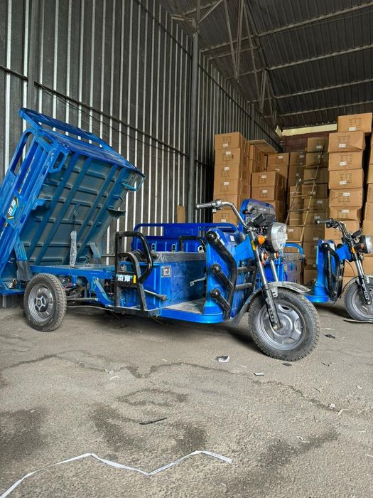 Электрический Трициклы муравей грузовой универсал мото мопед купить но