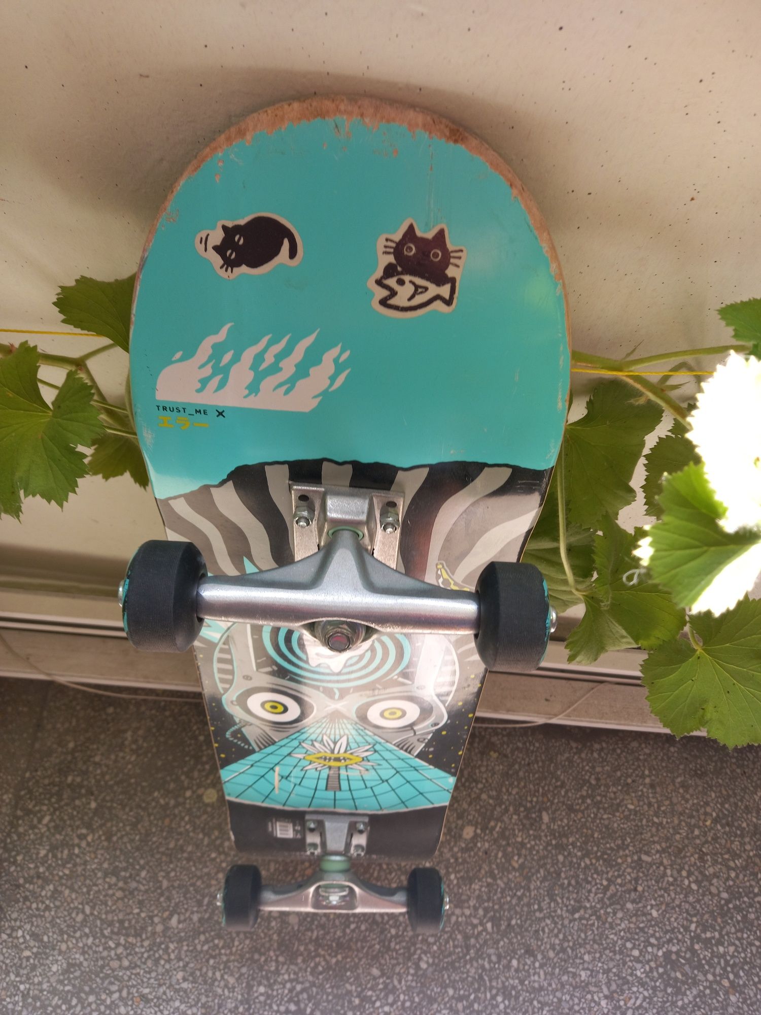 Skateboard  детски