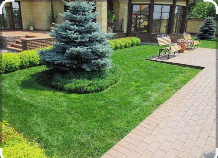 Обрезка плодовых деревьев