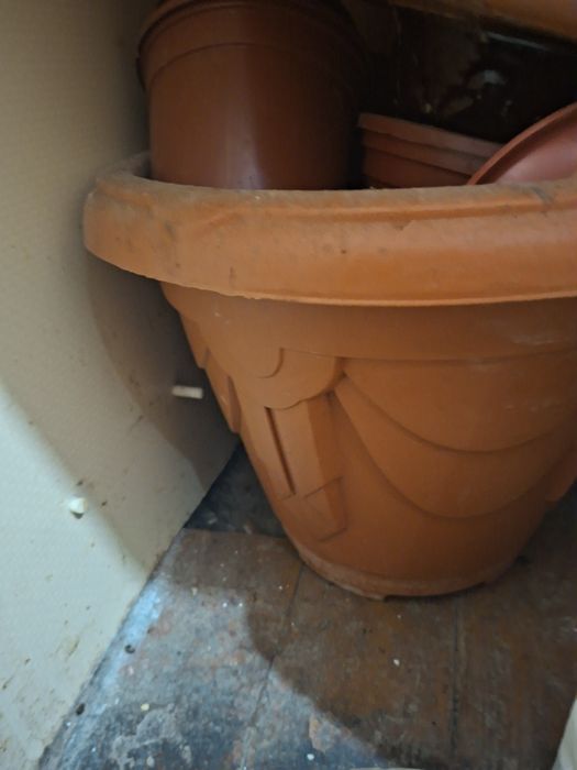 Гул Тувак ,горшки для цветов