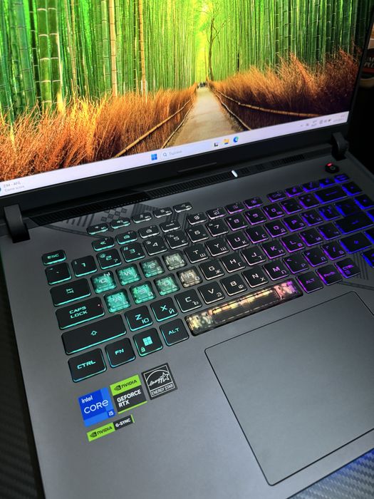 ASUS ROG Strix G16 (G614JV)