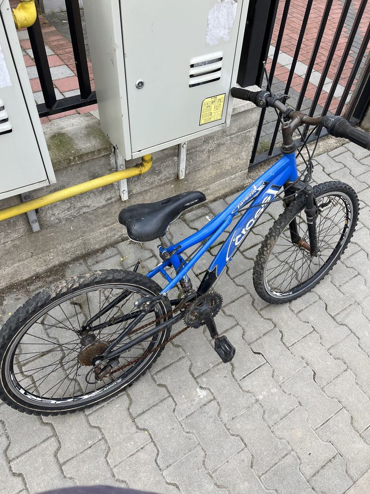 Bicicleta dama și bicicleta adolescenți