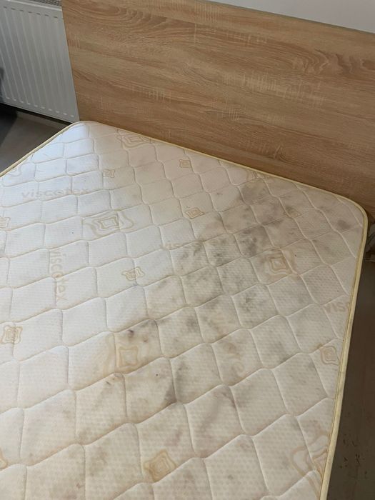 Servicii de curatare canapele si mochete