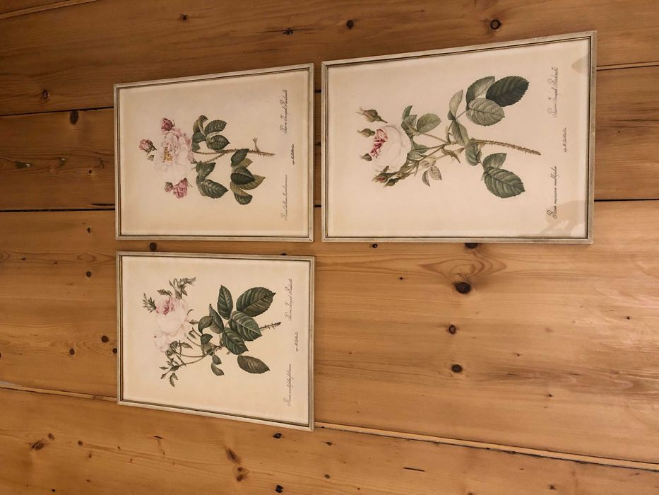 3 gravuri Pierre Joseph REDOUTE finisate de mana  secolul 19 rare