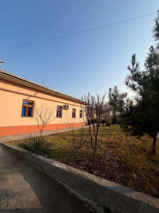 Shofayz 2 sotix sotiladi srochno