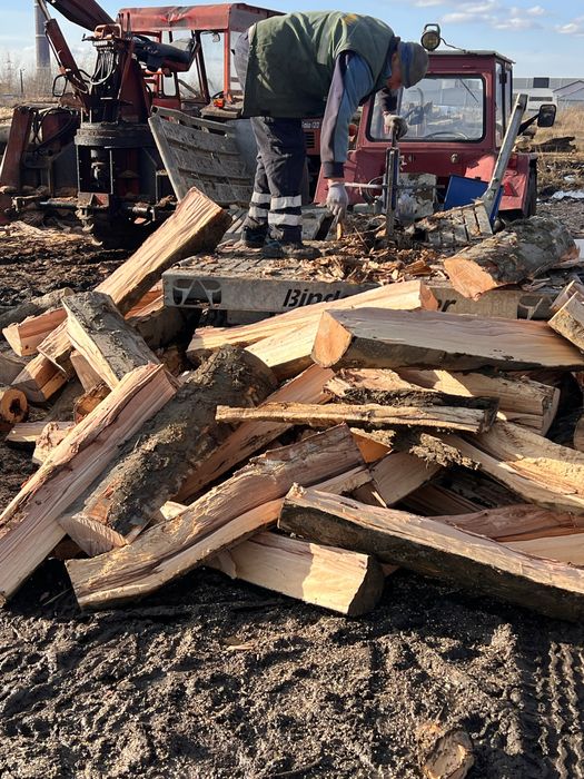 Vand lemn de foc / Brichete / Cherestea