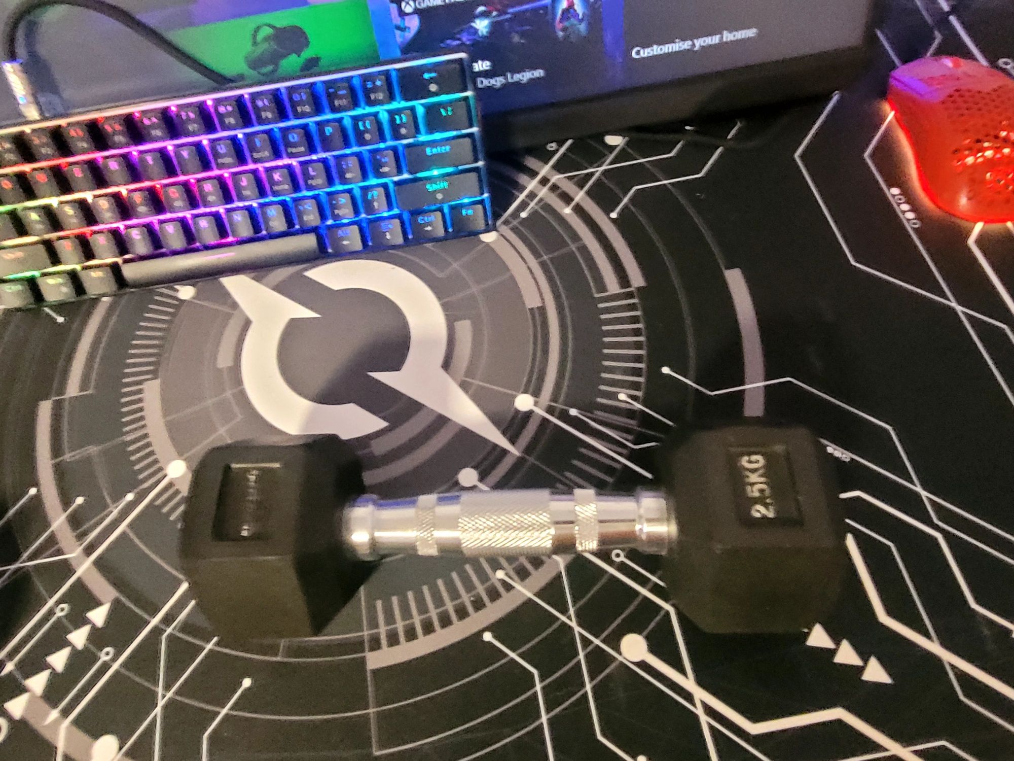 Gantere fitness 2.5 kg