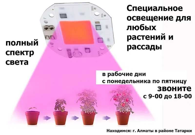 освещение цветов растений и рассады ФИТО-ЛАМПЫ СВЕТО-ДИОДЫ светильники