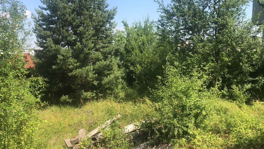 PF vand teren zona BUNA ZIUA autorizabil 422+154 la 440eur/mp