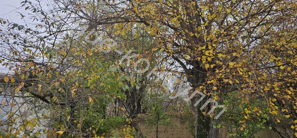 Парцел за жилищно застрояване с партида за ток, с. Ресен