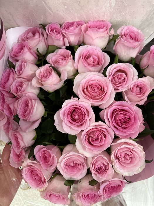 Продам цветы свежие розы