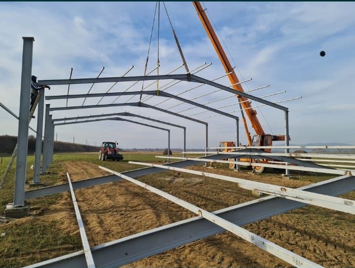 Vand hala metalica 6 X 10