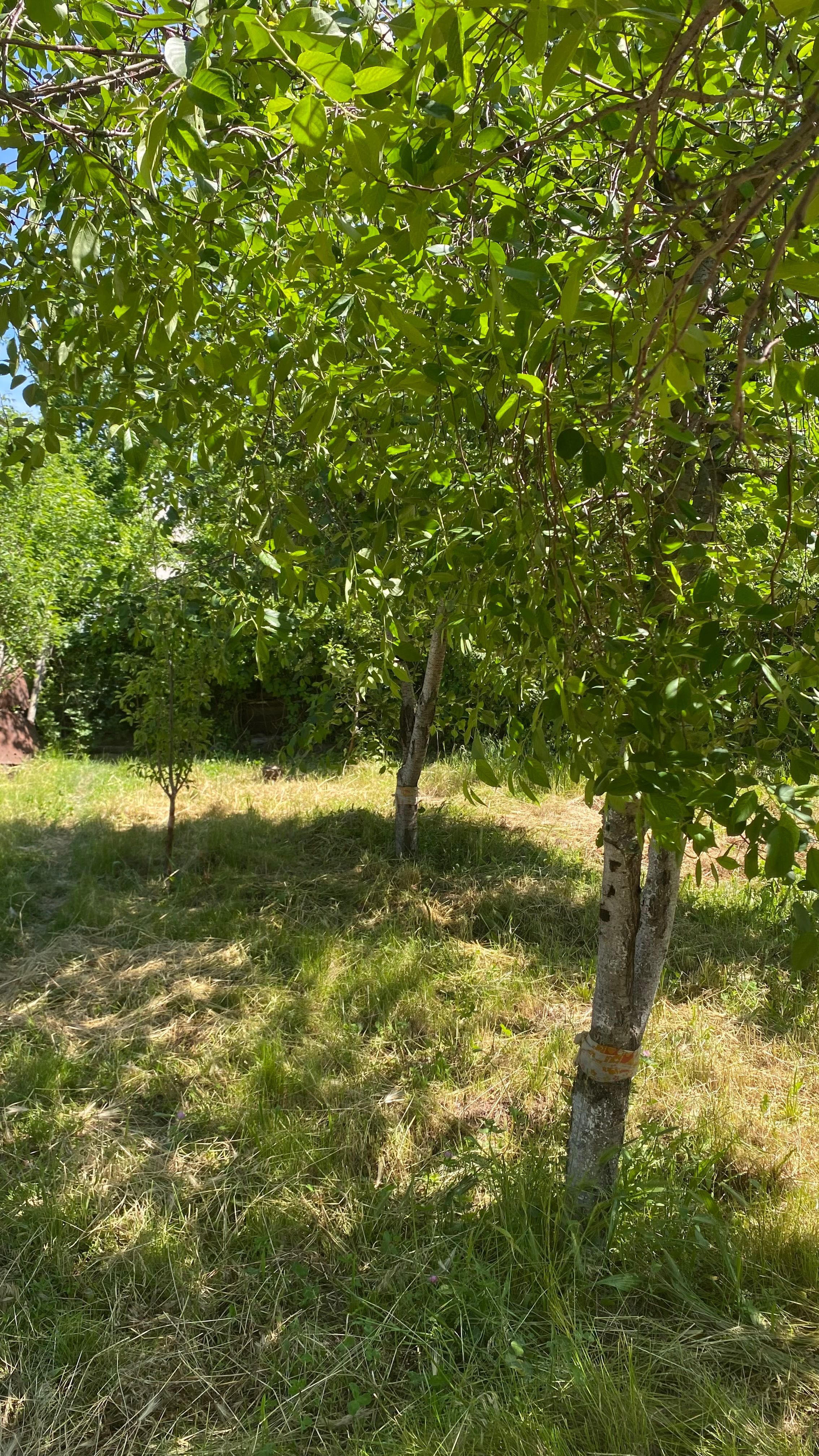 Продается недостроенный дом