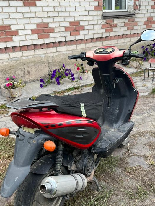 Продам Рейсер Лупус