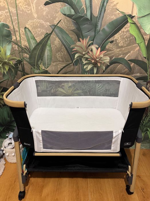 Next to me cangaroo Amo