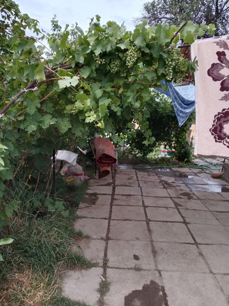 Дача Кумшагал  дом вдоль  трассы.