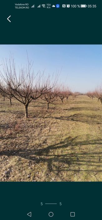 Livadă 5000 mp la șosea