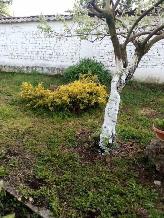 Продава се Къща в с. Долна махала, Област Пловдив - 85 кв.м за 883 €/кв.м - Снимка #2