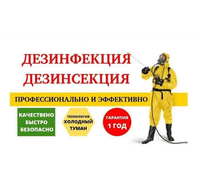 Дезинфекция От 250.000 клопоы тараканоы крысы мыши плесень dezinfeksiy