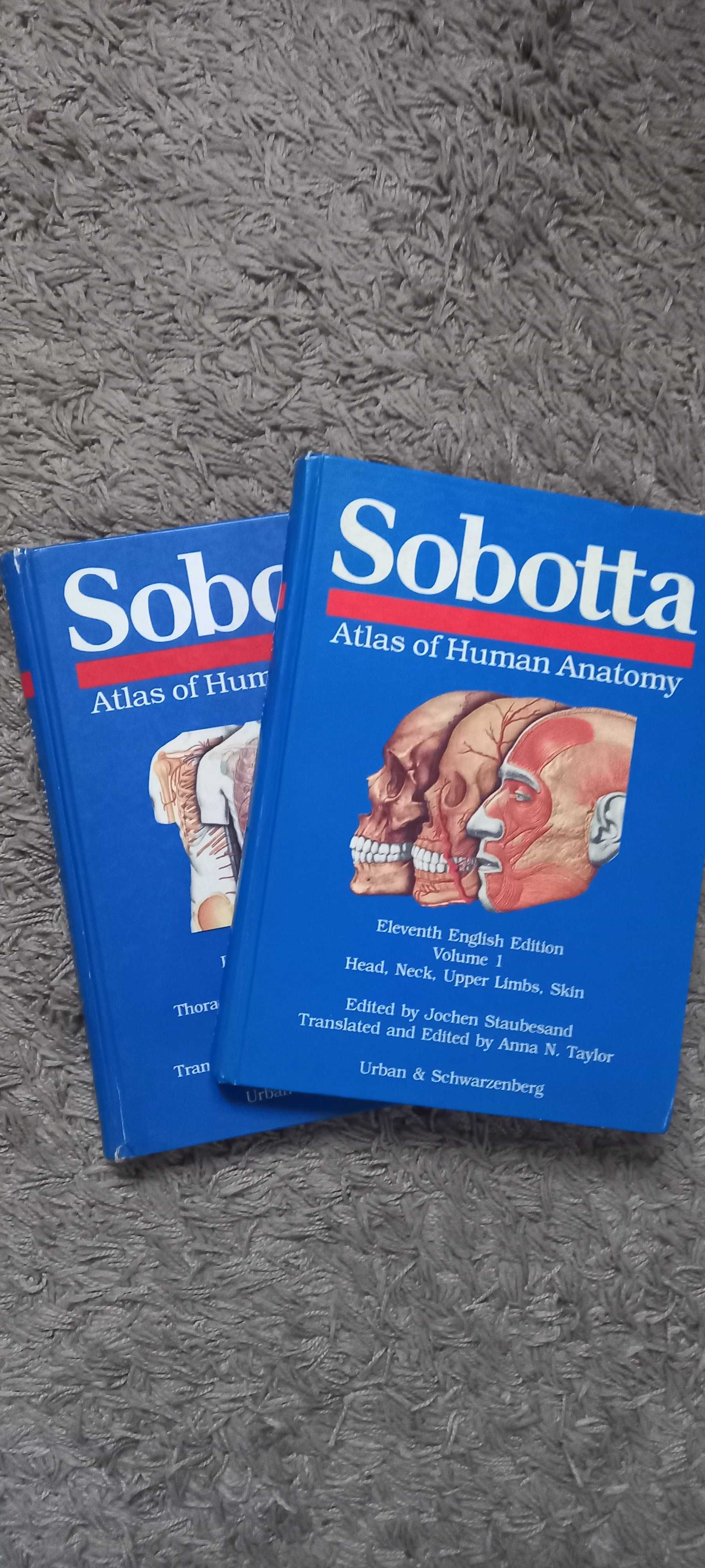 Atlas anatomie Sobotta