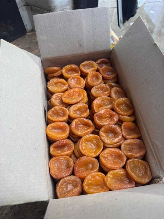 Сушени кайсии кайсия