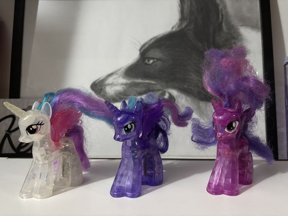 Понита, Малкото пони