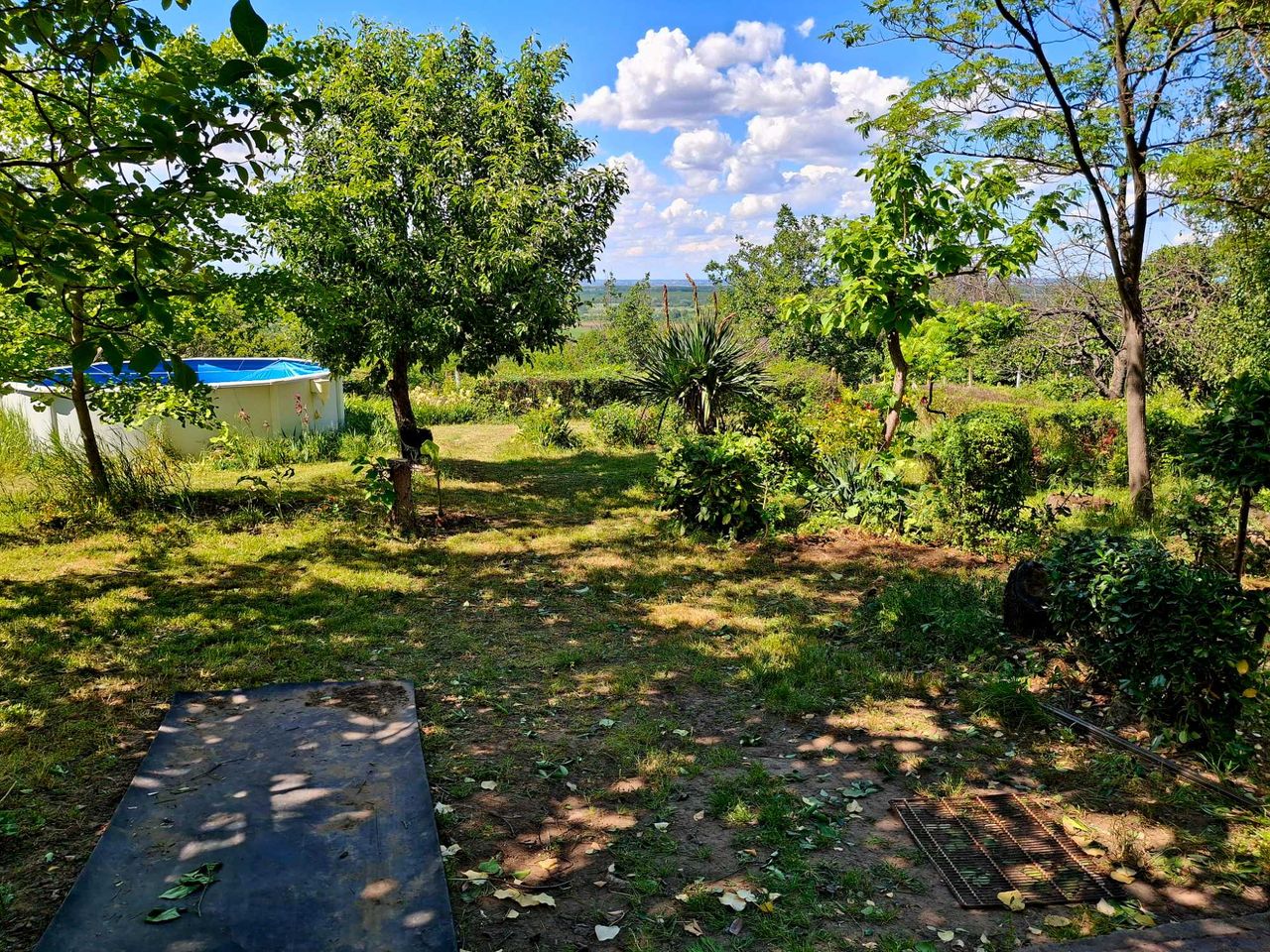 Продава се Къща в с. Остров, Област Враца - 120 кв.м за 309 €/кв.м - Снимка #4