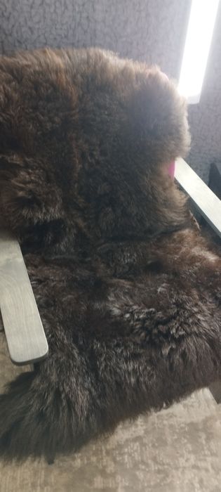 Продам  овечью натуральную шкуру и 2 накидки из овчины для автомобиля