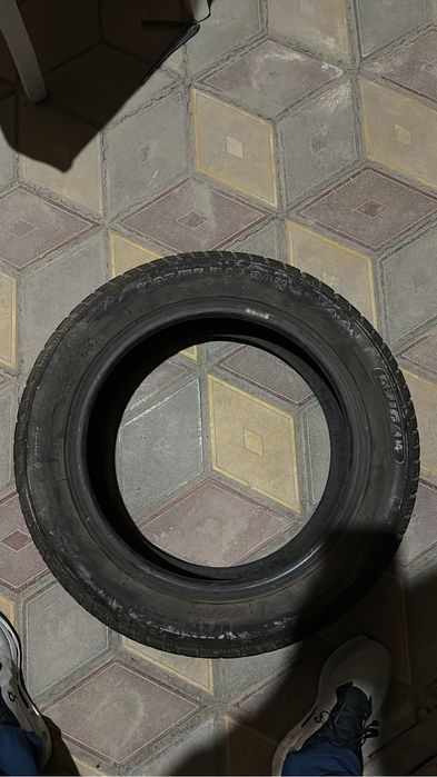 Шины TIGAR 205/55 R16 94H 23года