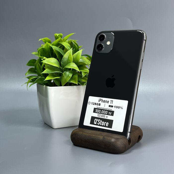 iPhone 11 | 128gb | 100%