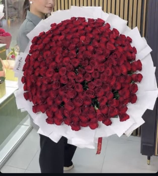 201роза свежий.