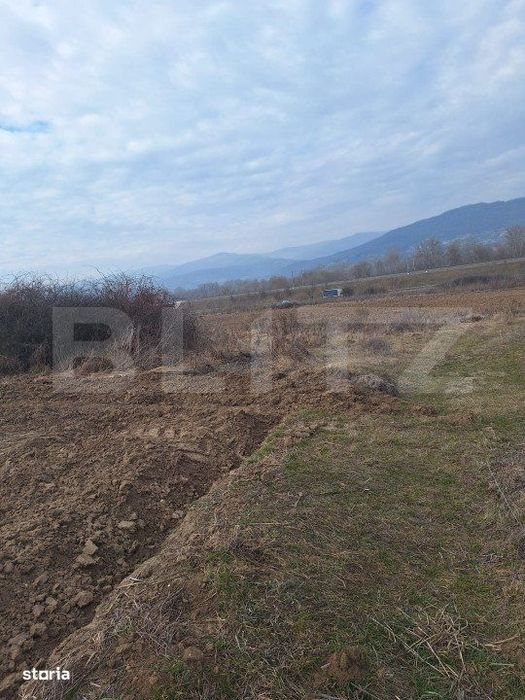 Teren in Salistea, 15800 mp