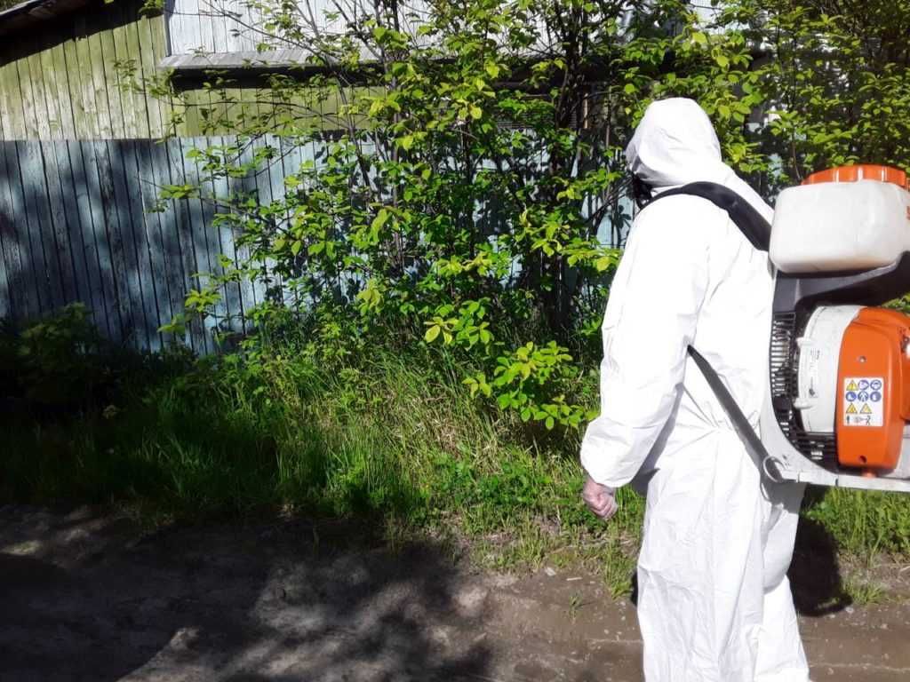 Дезинсекция Уничтожение тараканов клопов чивин пашша бурга илон ари