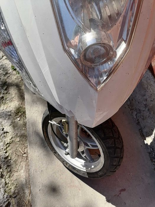 Scuter 49 CM 600€