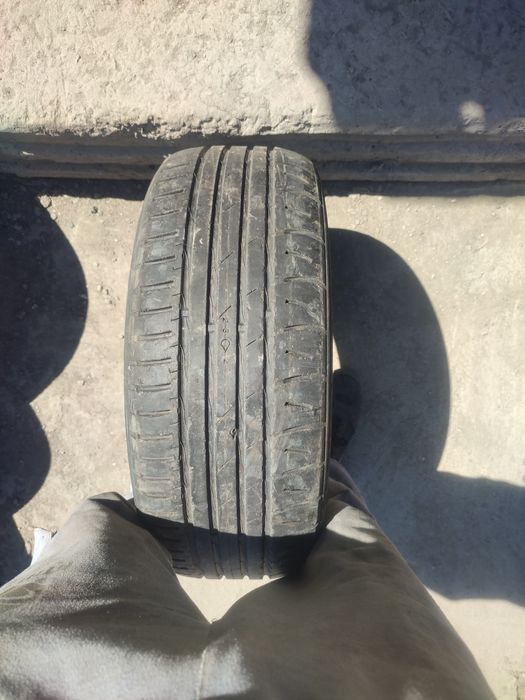Шина безкамерка размер 205/55 R16