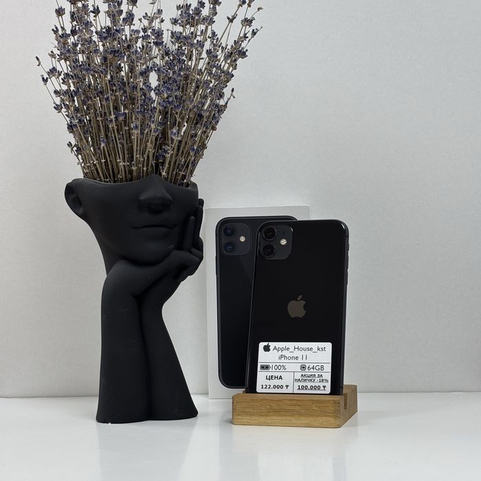 iPhone 11, 64gb, 100%