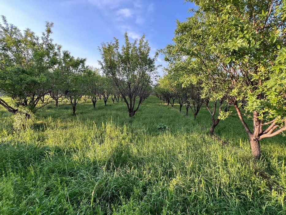 Срочно продаётся земельный участок площадью 1гектар