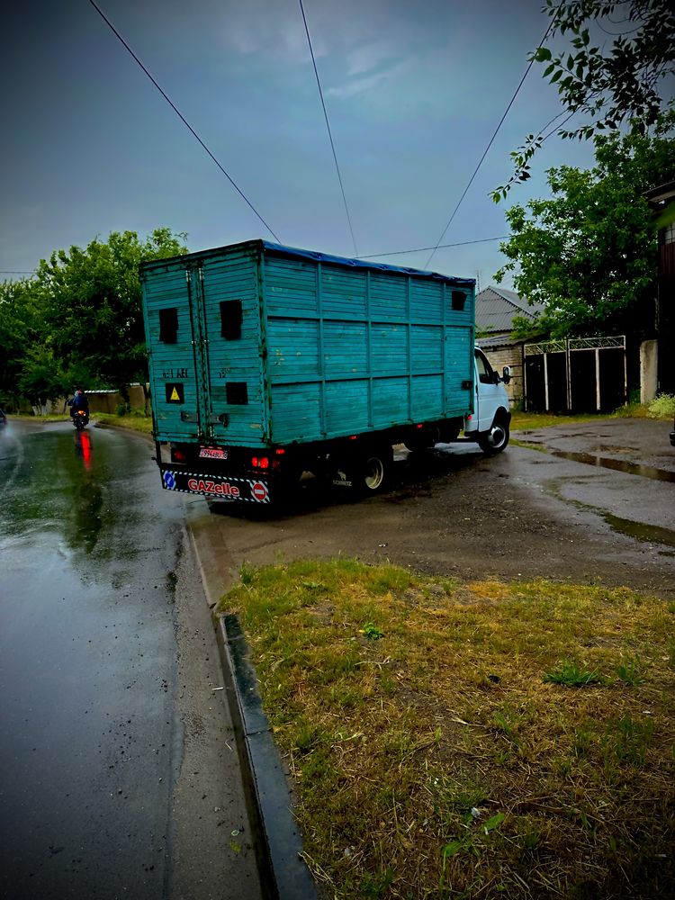 Грузовые перевозки