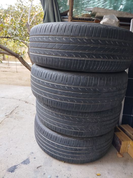 Nexeng пакришкалар