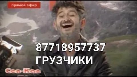 Грузчики мобильные 24/7